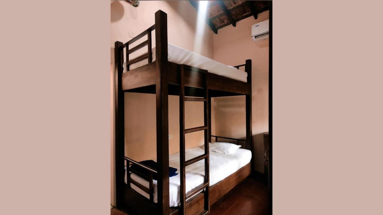 Hostel The Funky Monkey *