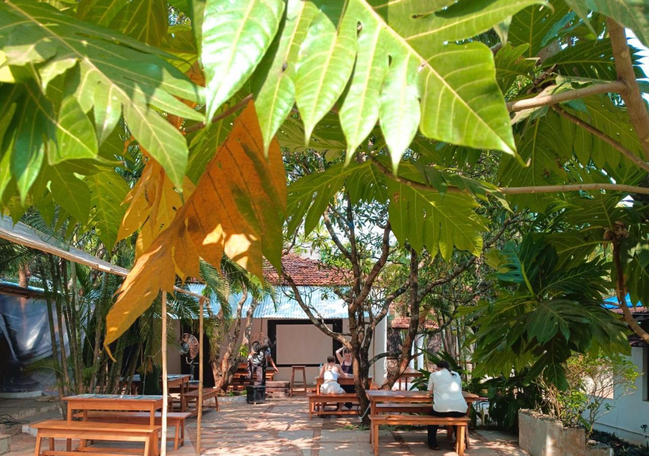Hostel The Funky Monkey *