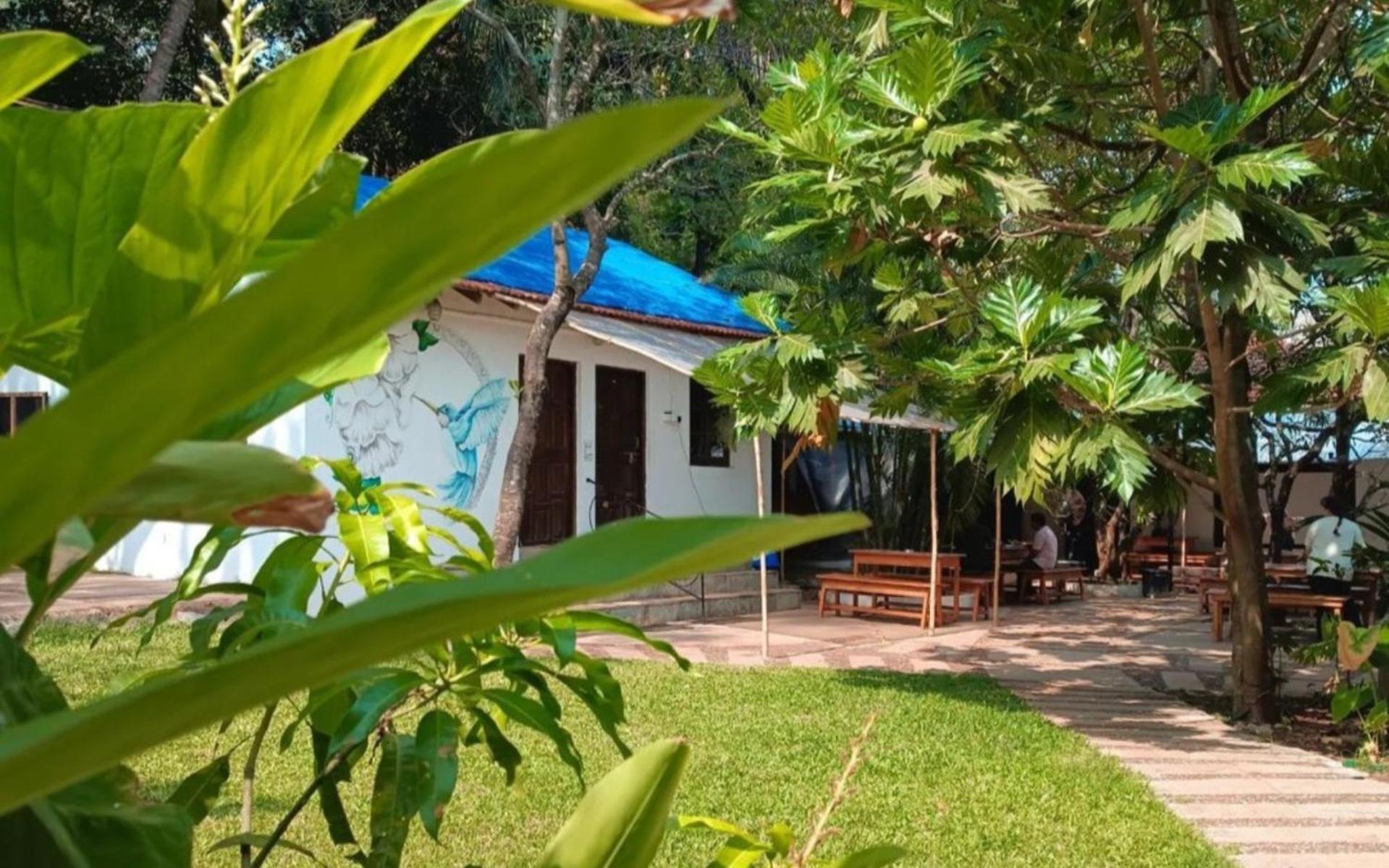 The Funky Monkey Hostel