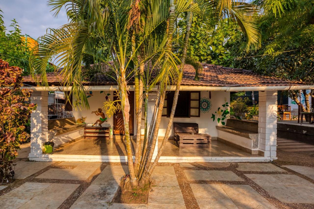 The Funky Monkey Hostel